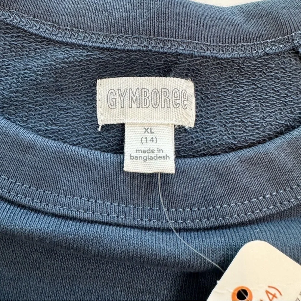Gymboree Pullover Love To Explore Blue Gold Embroidery NWT Girls Size XL (14)